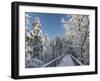 The Canopy Walkway of the Visitor Center of the National Park Bavarian Forest , the Deep of Winter-Martin Zwick-Framed Photographic Print