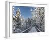 The Canopy Walkway of the Visitor Center of the National Park Bavarian Forest , the Deep of Winter-Martin Zwick-Framed Photographic Print