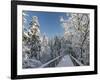 The Canopy Walkway of the Visitor Center of the National Park Bavarian Forest , the Deep of Winter-Martin Zwick-Framed Photographic Print