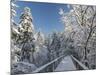 The Canopy Walkway of the Visitor Center of the National Park Bavarian Forest , the Deep of Winter-Martin Zwick-Mounted Photographic Print