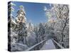 The Canopy Walkway of the Visitor Center of the National Park Bavarian Forest , the Deep of Winter-Martin Zwick-Stretched Canvas