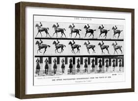 The Canter: One Stride Photographer Synchronously from Two Points of View, 1887, Illustration…-Eadweard Muybridge-Framed Photographic Print