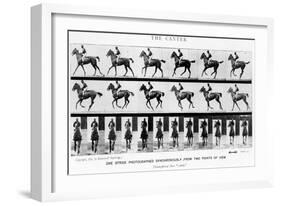 The Canter: One Stride Photographer Synchronously from Two Points of View, 1887, Illustration…-Eadweard Muybridge-Framed Photographic Print