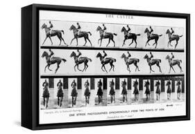 The Canter: One Stride Photographer Synchronously from Two Points of View, 1887, Illustration…-Eadweard Muybridge-Framed Stretched Canvas