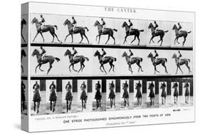 The Canter: One Stride Photographer Synchronously from Two Points of View, 1887, Illustration…-Eadweard Muybridge-Stretched Canvas