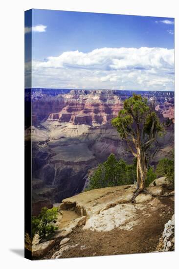 The Canyon Rim I-Alan Hausenflock-Stretched Canvas