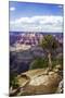 The Canyon Rim I-Alan Hausenflock-Mounted Photographic Print