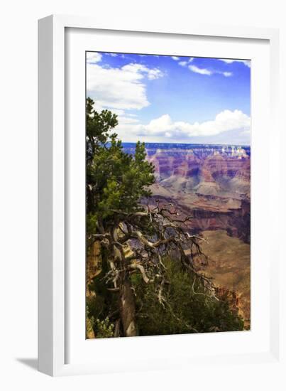 The Canyon Rim II-Alan Hausenflock-Framed Photographic Print