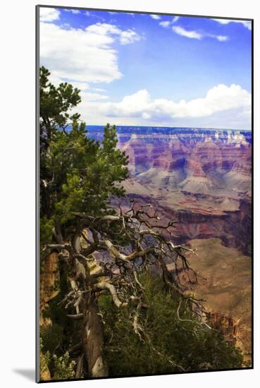 The Canyon Rim II-Alan Hausenflock-Mounted Photographic Print