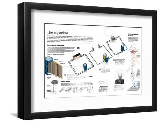 Photographic Print, , large