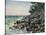 The Cape Martin-Claude Monet-Stretched Canvas