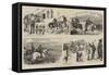 The Cape Mounted Rifles on Police Duty-null-Framed Stretched Canvas