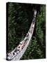 The Capilano Suspension Bridge, Vancouver, British Columbia (B.C.), Canada, North America-Ruth Tomlinson-Stretched Canvas