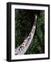 The Capilano Suspension Bridge, Vancouver, British Columbia (B.C.), Canada, North America-Ruth Tomlinson-Framed Photographic Print