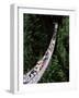 The Capilano Suspension Bridge, Vancouver, British Columbia (B.C.), Canada, North America-Ruth Tomlinson-Framed Photographic Print