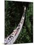 The Capilano Suspension Bridge, Vancouver, British Columbia (B.C.), Canada, North America-Ruth Tomlinson-Mounted Photographic Print