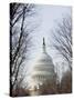 The Capitol Building, Capitol Hill, Washington D.C., United States of America, North America-Christian Kober-Stretched Canvas