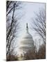 The Capitol Building, Capitol Hill, Washington D.C., United States of America, North America-Christian Kober-Mounted Photographic Print
