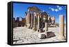 The Capitol Temples (Capitolium), Roman Ruins of Sbeitla, Tunisia, North Africa, Africa-Ethel Davies-Framed Stretched Canvas