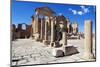 The Capitol Temples (Capitolium), Roman Ruins of Sbeitla, Tunisia, North Africa, Africa-Ethel Davies-Mounted Photographic Print