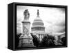 The Capitol, US Congress, Washington D.C, District of Columbia, Black and White Photography-Philippe Hugonnard-Framed Stretched Canvas