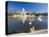 The Capitol, Washington DC, USA-Michele Falzone-Stretched Canvas