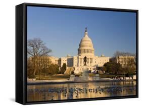The Capitol, Washington DC, USA-Michele Falzone-Framed Stretched Canvas