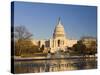 The Capitol, Washington DC, USA-Michele Falzone-Stretched Canvas