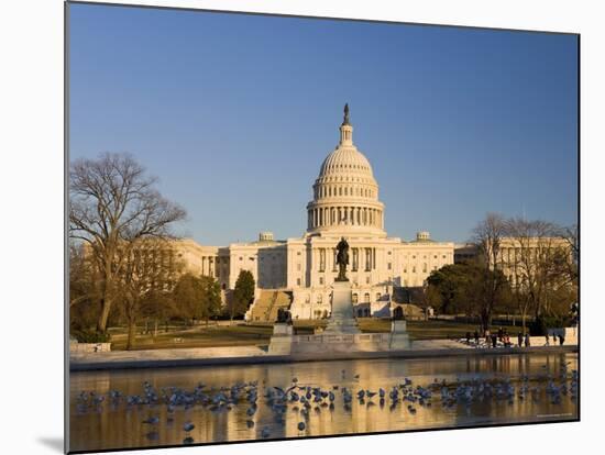 The Capitol, Washington DC, USA-Michele Falzone-Mounted Photographic Print