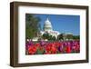 The Capitol with Colorful Tulips Foreground in Spring - Washington Dc, United States of America-Orhan-Framed Photographic Print