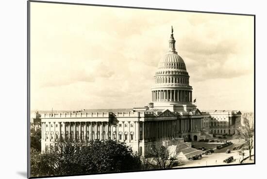 The Capitol-null-Mounted Art Print