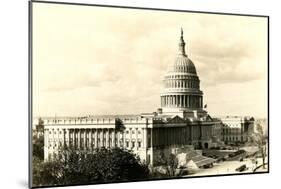 The Capitol-null-Mounted Art Print