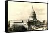 The Capitol-null-Framed Stretched Canvas