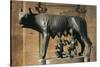 The Capitoline Wolf, Bronze-null-Stretched Canvas