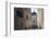 The Cappella Colleoni, Bergamo, Lombardy, Italy-Carlo Morucchio-Framed Photographic Print