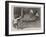 The Capture of a Crocodile in East Africa, Taking His Photograph-Alexander Stuart Boyd-Framed Giclee Print