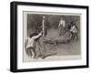 The Capture of a Crocodile in East Africa, Taking His Photograph-Alexander Stuart Boyd-Framed Giclee Print