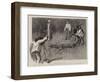 The Capture of a Crocodile in East Africa, Taking His Photograph-Alexander Stuart Boyd-Framed Giclee Print