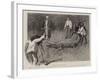 The Capture of a Crocodile in East Africa, Taking His Photograph-Alexander Stuart Boyd-Framed Giclee Print