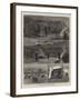 The Capture of Cetewayo-Joseph Nash-Framed Giclee Print
