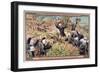 The Capture of Marovoay by the French, Madagascar, 19th-20th Century-null-Framed Giclee Print