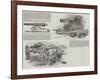 The Captured Russian Guns at Portsmouth-null-Framed Giclee Print