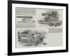 The Captured Russian Guns at Portsmouth-null-Framed Giclee Print