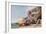 The Capuchin Monastery at Amalfi from the Beach-Giacinto Gigante-Framed Giclee Print