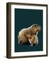 The Capybaras on Deep Cyan, 2020, (Pen and Ink)-Mike Davis-Framed Giclee Print