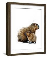 The Capybaras on White, 2019, (Pen and Ink)-Mike Davis-Framed Giclee Print