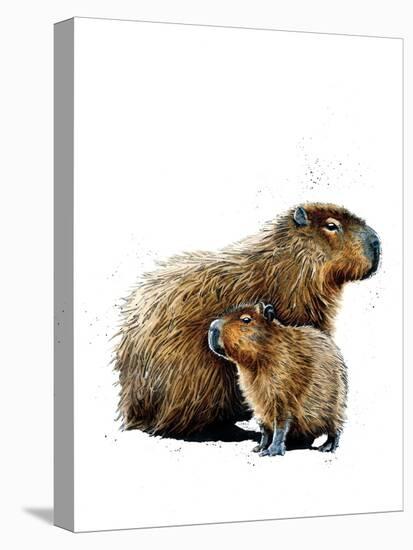 The Capybaras on White, 2019, (Pen and Ink)-Mike Davis-Stretched Canvas