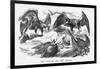 The Carcase and the Eagles, 1871-Joseph Swain-Framed Giclee Print