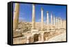 The Cardo, North Colonnaded Street, Jerash, Jordan.-Nico Tondini-Framed Stretched Canvas