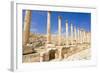 The Cardo, North Colonnaded Street, Jerash, Jordan.-Nico Tondini-Framed Photographic Print